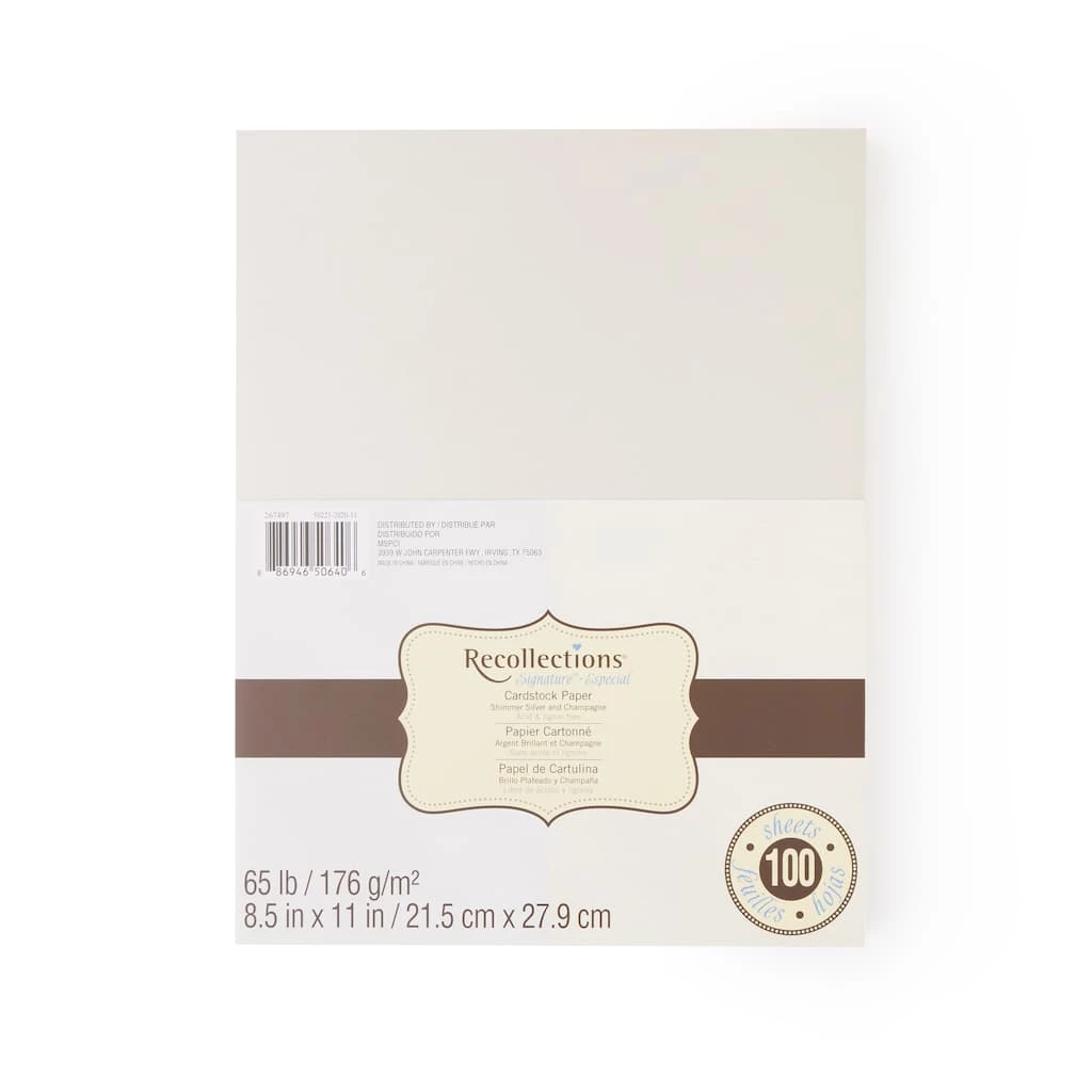 Wholesale βοΈ Shimmer Silver & Champagne 8.5" x 11" Cardstock Paper by Recollections®, 100 Sheets π₯° - Image 3