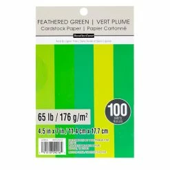 Cheapest 🥰 Feathered Green 4.5" x 7" Cardstock Paper by Recollections™, 100 Sheets 👍