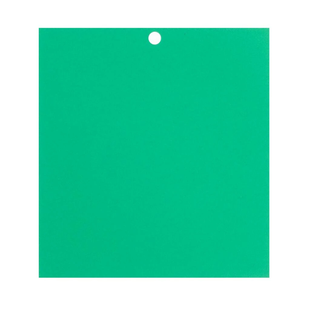 Best deal π Feathered Green 6" x 6.5" Cardstock Paper by Recollections™, 100 Sheets π - Image 6