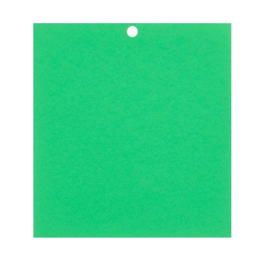 Best deal π Feathered Green 6" x 6.5" Cardstock Paper by Recollections™, 100 Sheets π - Image 8