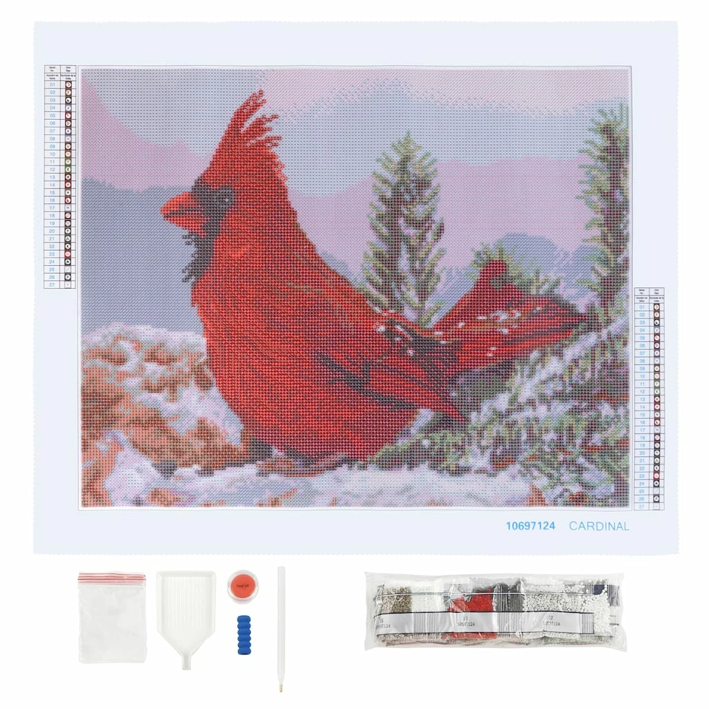 Flash Sale π₯ Cardinal Diamond Art Kit by Make Market® π― - Image 2