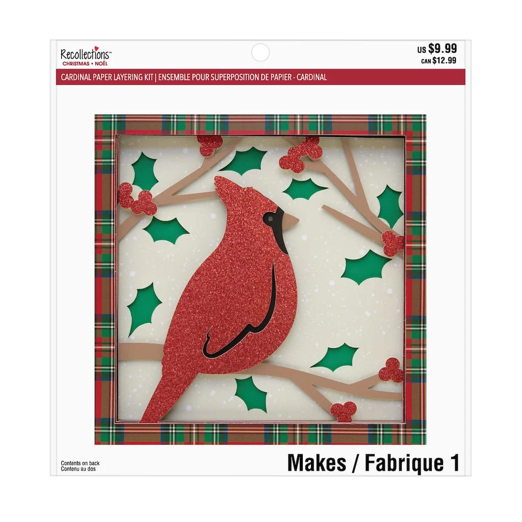 Flash Sale π Cardinal Paper Layering Kit by Recollections™ π
Christmas π
